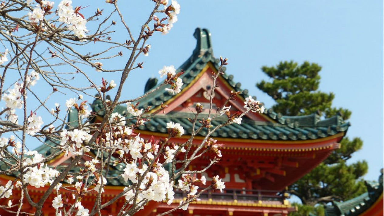 57bd56a1d56ef-ilustrasi-sakura-di-jepang_1265_711.jpg