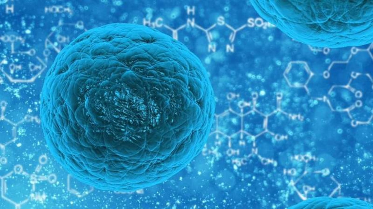 58fdd17090e04-stem-cell_1265_711.jpg