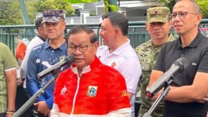 El pez barrendero es lindo, pero peligroso.