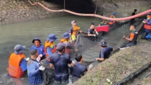 Tras las críticas de MUI a los entierros, el gobierno provincial de DKI reconoció que la pesca de barrido a gran escala sería difícil