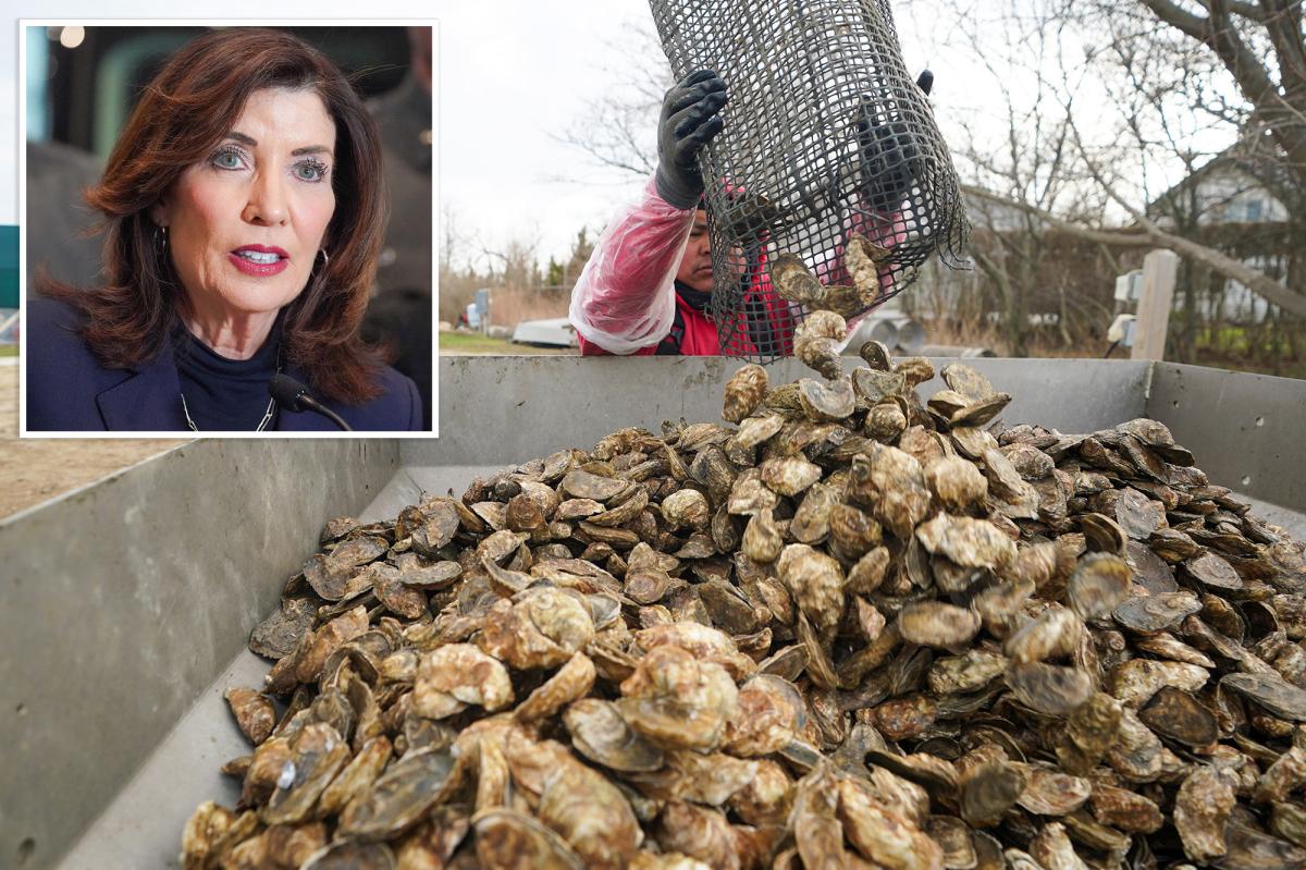 COMP-033126oysters2RMJPEG.jpg