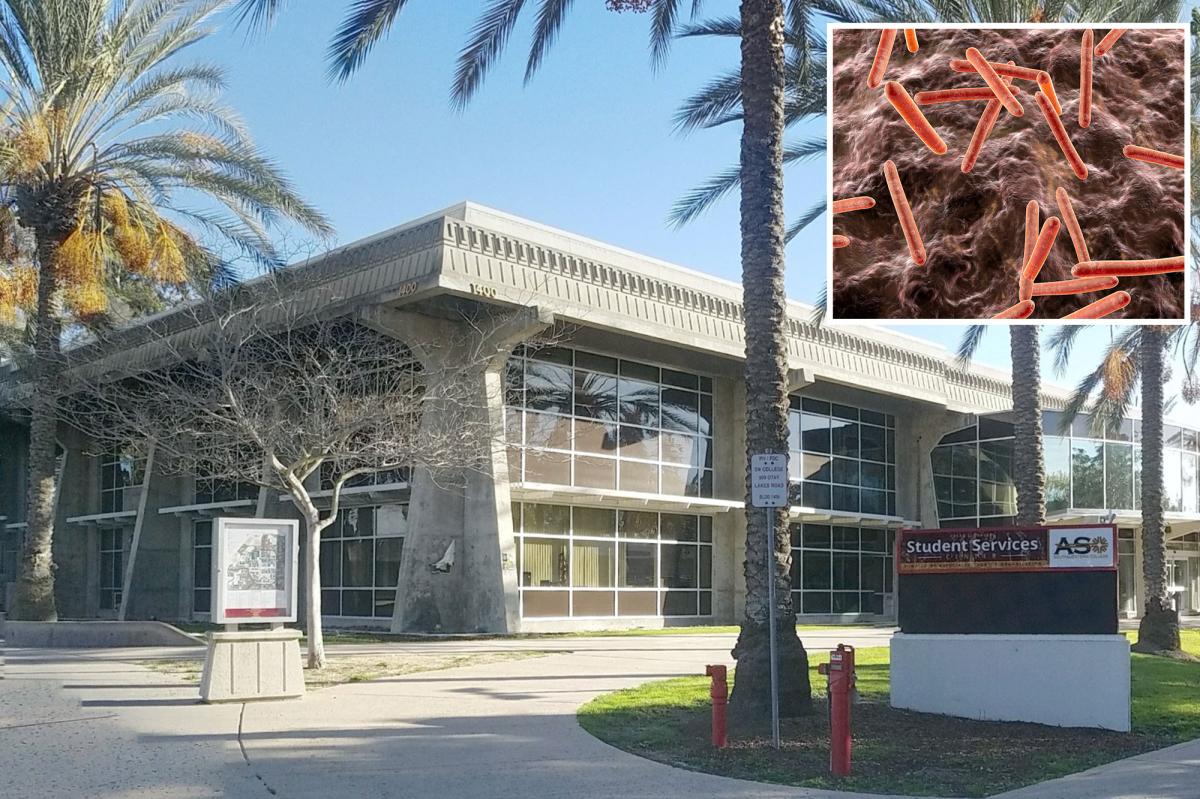 tbcampus.jpg