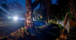 El único superviviente del accidente de Cybertruck quedó atrapado por puertas electrónicas, dice la demanda