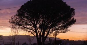 Vecinos enojados de Altadena piden a los funcionarios que interrumpan los trabajos de soterramiento de Edison