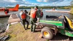Los lobos en la isla del Lago Superior están prosperando gracias a la depredación de los roedores, dicen los investigadores