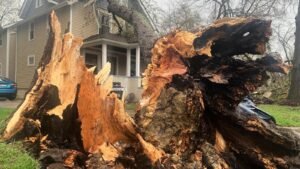 Fuertes tormentas continúan provocando fuertes lluvias, relámpagos e inundaciones en partes de Estados Unidos