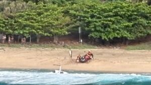 El piloto dijo que el helicóptero turístico de Hawái vibró e inclinó a 3 personas antes del accidente.