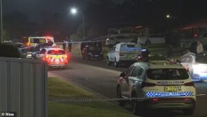 Un hombre ha sido arrestado después de que tres personas murieran en una casa de Rosemeadow.