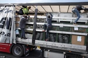 Sue Reid: Los inmigrantes ilegales son expulsados de Gran Bretaña en camiones porque sus limosnas no alcanzan para comprar cerveza y cigarrillos