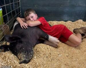 El querido cerdo mascota del niño, Bootsy, desaparece… Luego sale y se encuentra con una visión horrible cuando ve a un vecino con un delantal junto a una burbuja de agua.