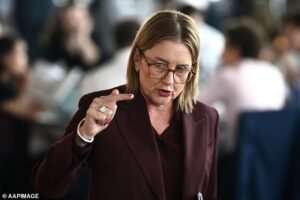 Jacinta Allan ha calificado a algunos fanáticos del fútbol australiano de ‘idiotas’ mientras anula la prohibición de la Copa del Mundo después de protestas masivas.