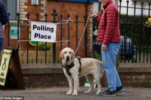 ¡Los perros en los colegios electorales! Las mejores fotografías de votantes llevando a sus amigos de cuatro patas a votar en las elecciones locales