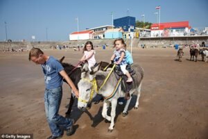 Los burros están prohibidos en la playa de un balneario mientras el consejo cierra la puerta a una tradición de 100 años