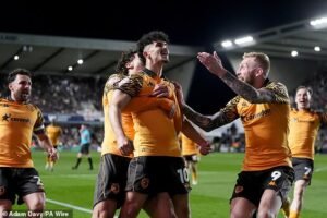 Hull City avanzó a la final del play-off del campeonato con una impresionante victoria por 2-0 sobre Millwall: los Tigres, “luchadores y valientes”, volvieron a superar las probabilidades para reservar un gran enfrentamiento en Wembley.