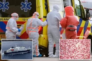 Los CDC clasifican el brote de hantavirus como respuesta de emergencia de ‘nivel 3’: informe
