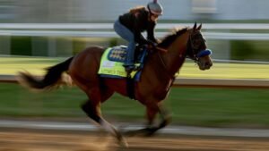 Derby de Kentucky 2026: fechas, horarios, caballos, probabilidades, partidos, bolsas