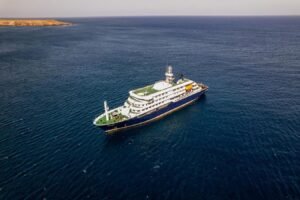 Los estadounidenses que estaban en el barco de hantavirus vuelven a EEUU: ¿debería preocuparse por el brote? El doctor pesa