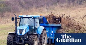 La escasez de fertilizantes tendrá un efecto “dramático” sobre los precios mundiales de los alimentos, advierte el jefe de la agricultura | Crisis de la cadena de suministro