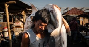 La crisis de sobrepesca del sudeste asiático y los esfuerzos por descubrir sus raíces