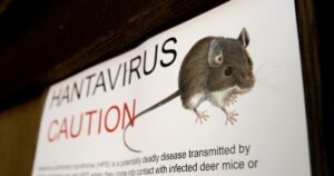Qué saber sobre el hantavirus