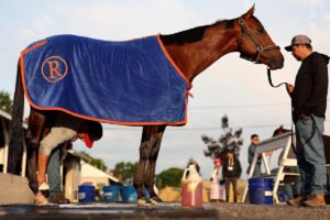 Derby de Kentucky: números de caballos, probabilidades actualizadas, scratch para todo el campo