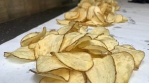 Las patatas fritas populares se recordaron por problemas de salmonela: FDA