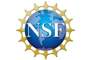 Tras la eliminación de la junta, los jefes anteriores de la NSF llaman a miembros, director