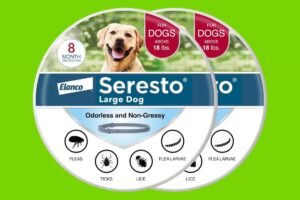 Abastécete de Seresto mientras esté en oferta con envío gratuito a través de Amazon