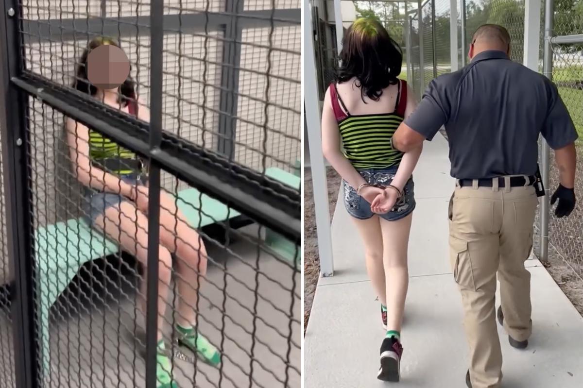 florida-12-year-old-accused-127104438.jpg