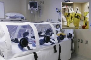 1 estadounidense que regresa de un crucero afectado por hantavirus muestra síntomas, otro positivo: HHS