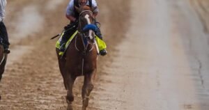 Right to Party se convirtió en el tercer scratch del Kentucky Derby, añadió Robusta