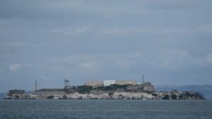 Coyote macho nada 2 millas hasta la isla de Alcatraz, el doble de lo que esperaban los biólogos